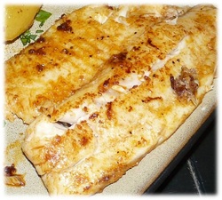 Grilled Tilapia Fillets