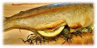 Cedar Smoked Trout