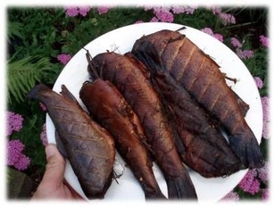 Smoked Trout